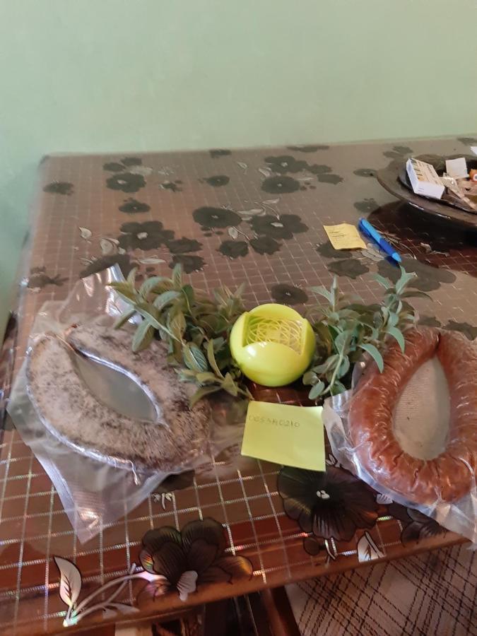 Vila Mir 皮罗特 外观 照片